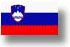 slovenske strani
